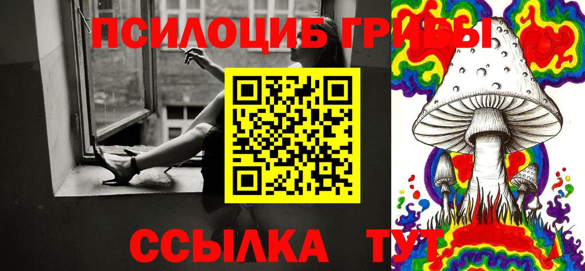 Галлюциногенные грибы Psilocybe  Вход с VPN  Астрахань 