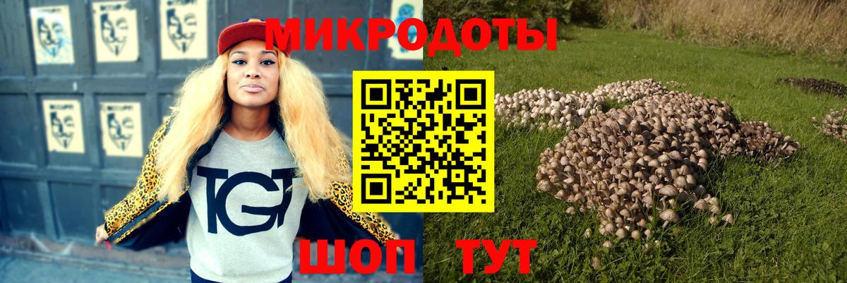 Псилоцибиновые грибы MAGIC MUSHROOMS Астрахань